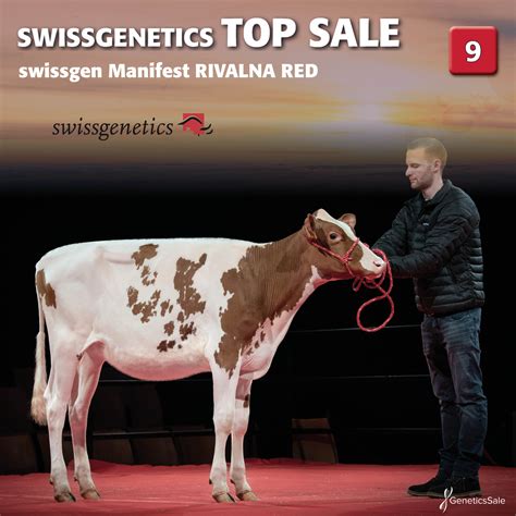 swissgenetics|More.